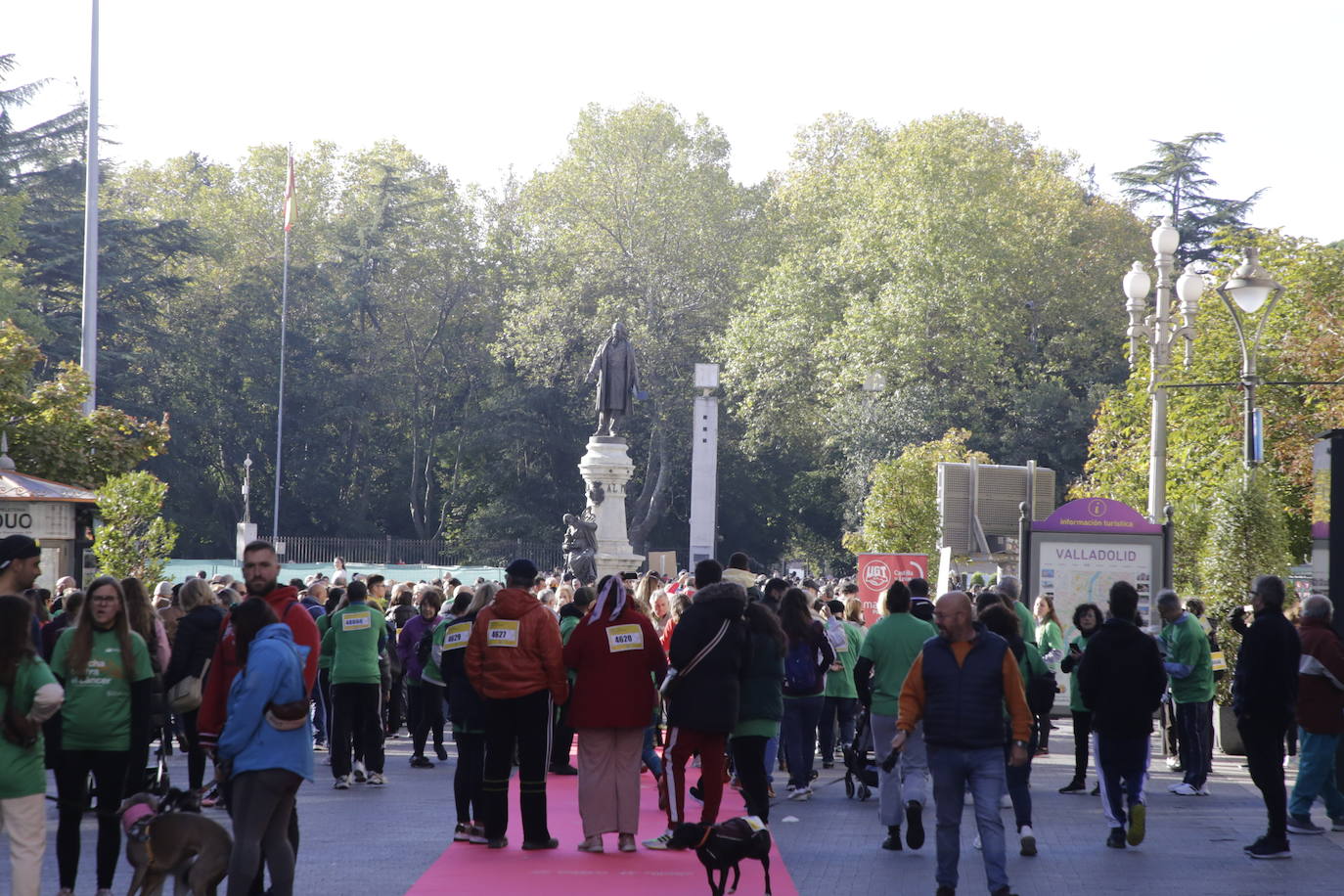 Fotos: La marcha contra el cáncer llena Valladolid de verde