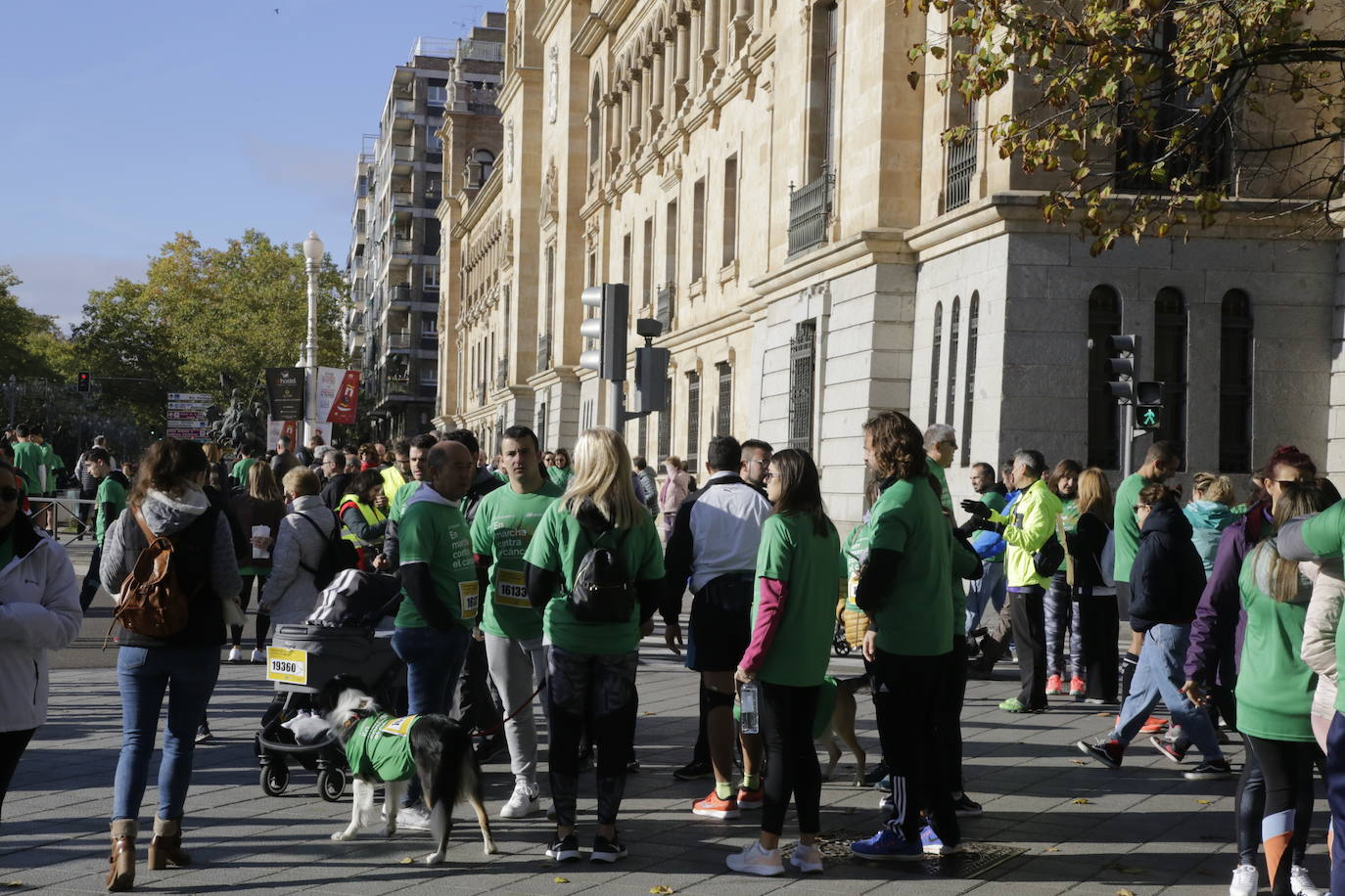 Fotos: La marcha contra el cáncer llena Valladolid de verde