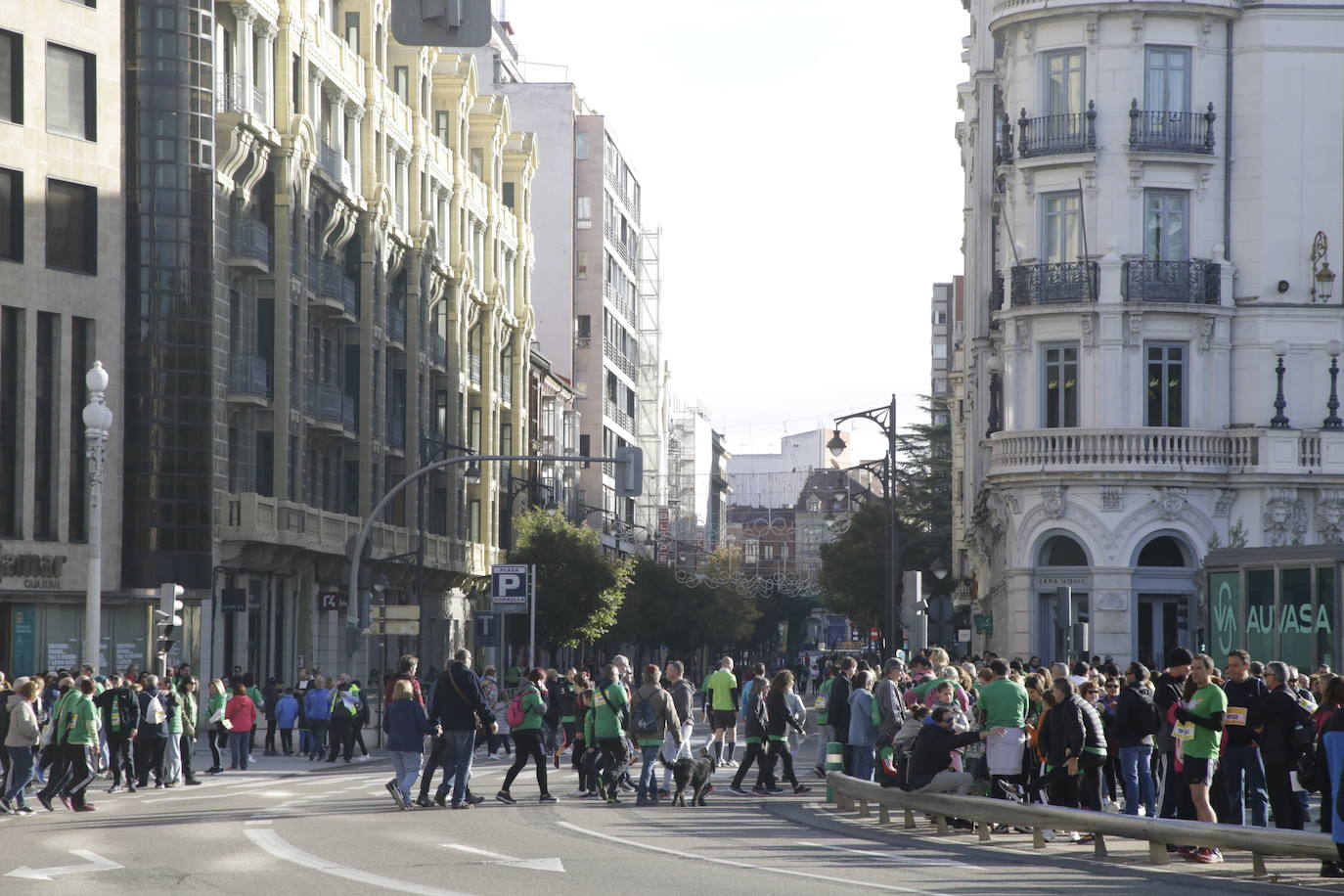 Fotos: La marcha contra el cáncer llena Valladolid de verde