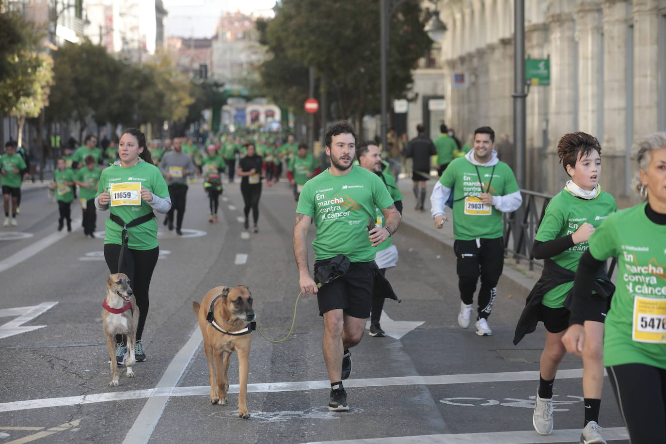 Fotos: La marcha contra el cáncer llena Valladolid de verde