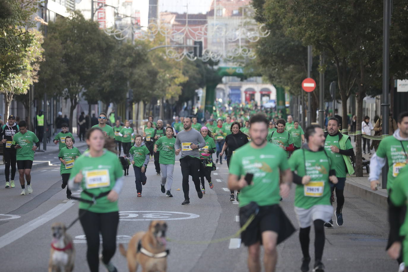 Fotos: La marcha contra el cáncer llena Valladolid de verde