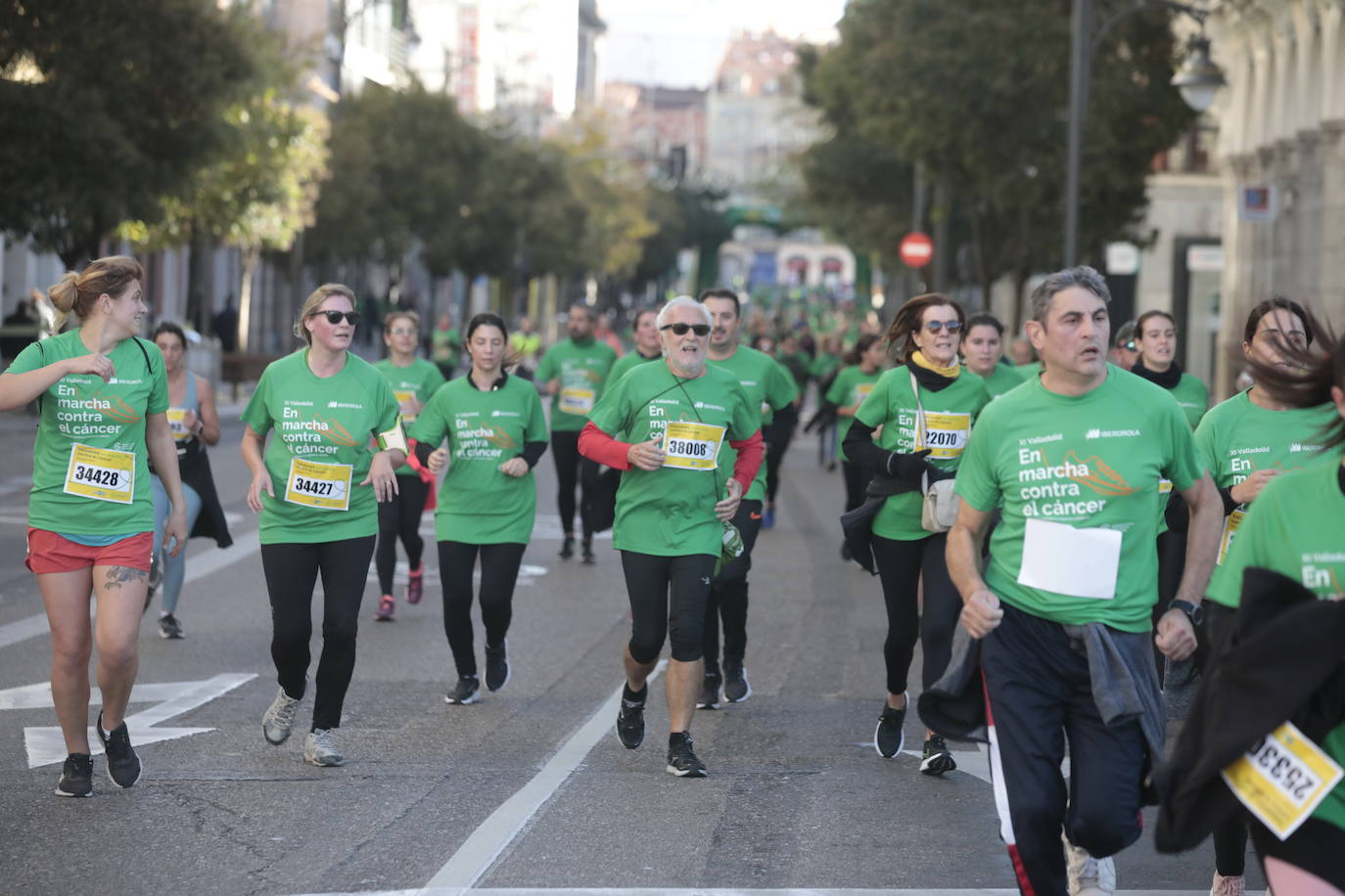 Fotos: La marcha contra el cáncer llena Valladolid de verde