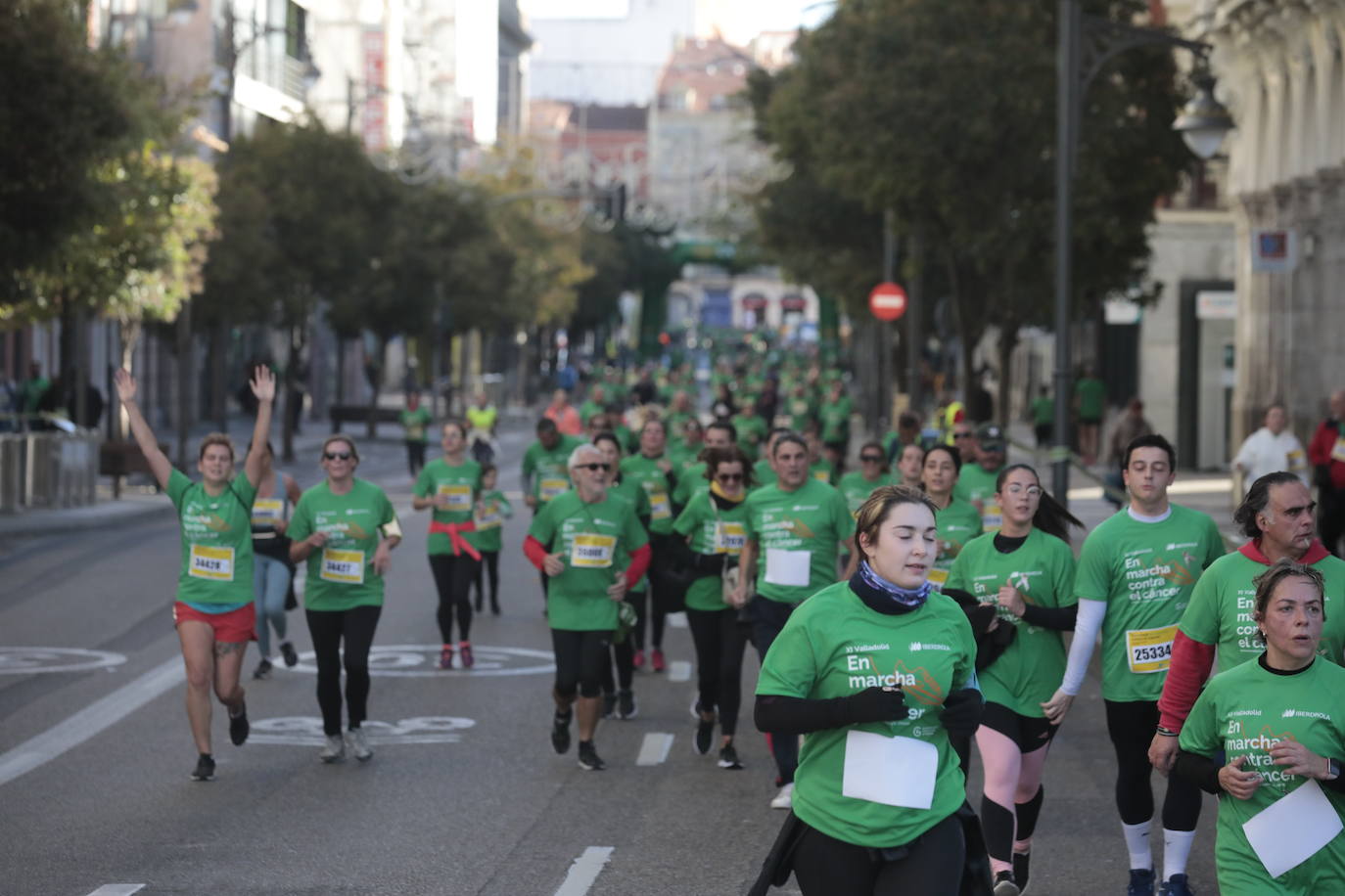 Fotos: La marcha contra el cáncer llena Valladolid de verde