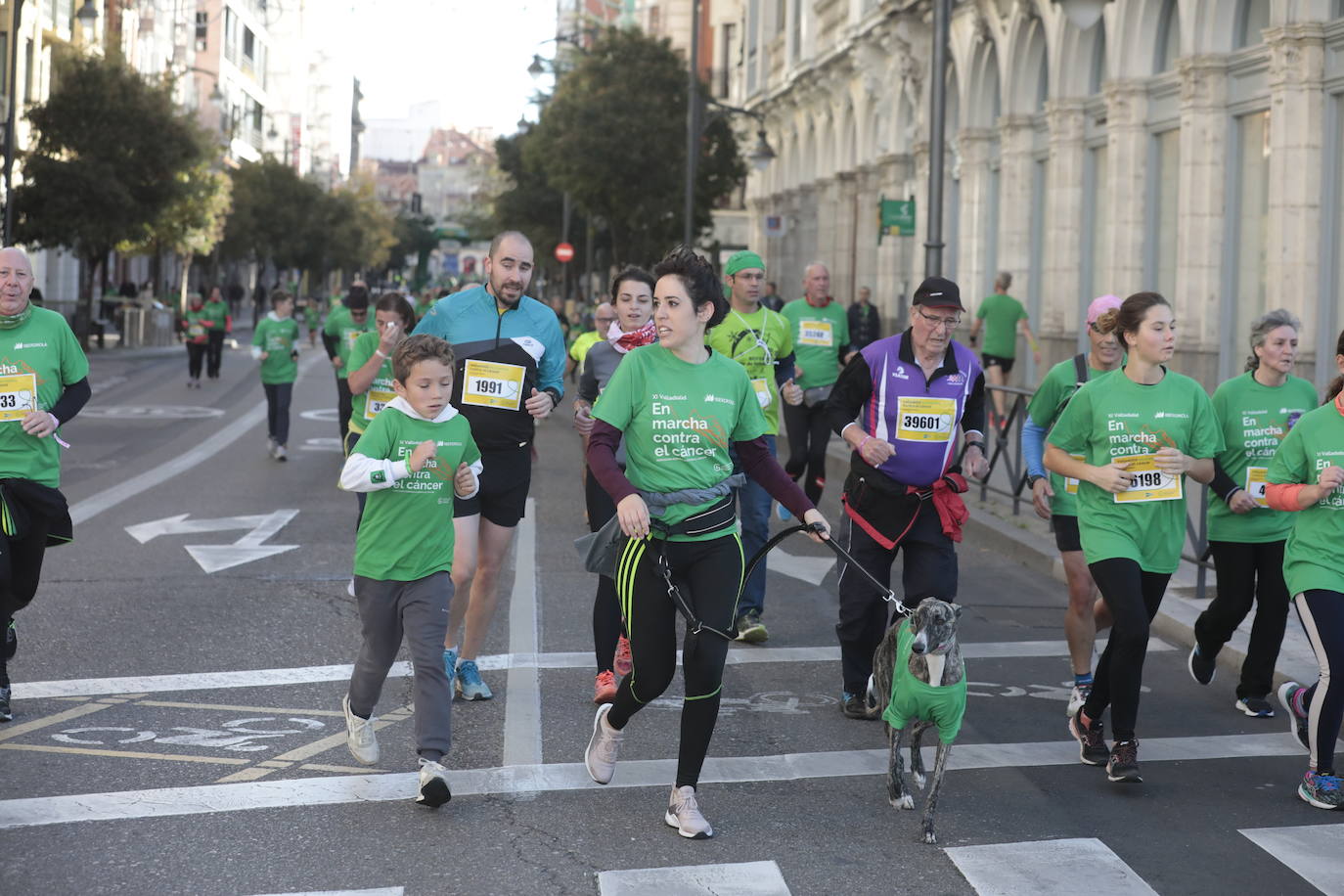 Fotos: La marcha contra el cáncer llena Valladolid de verde