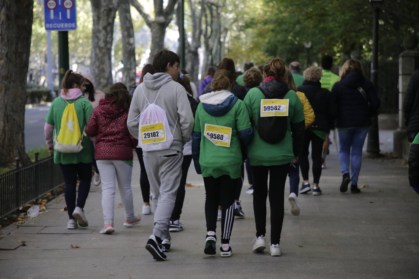 Fotos: La marcha contra el cáncer llena Valladolid de verde