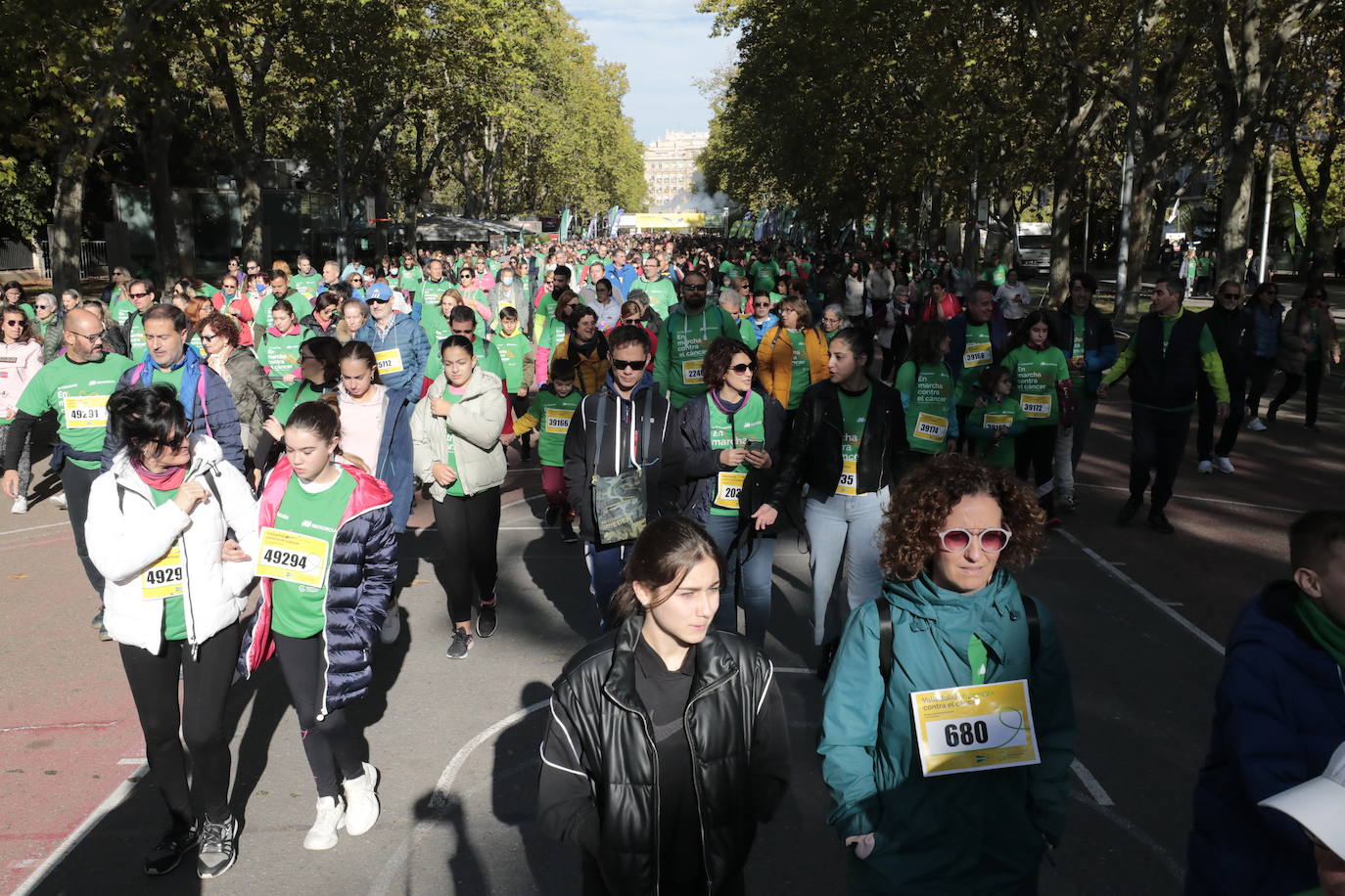 Fotos: La marcha contra el cáncer llena Valladolid de verde