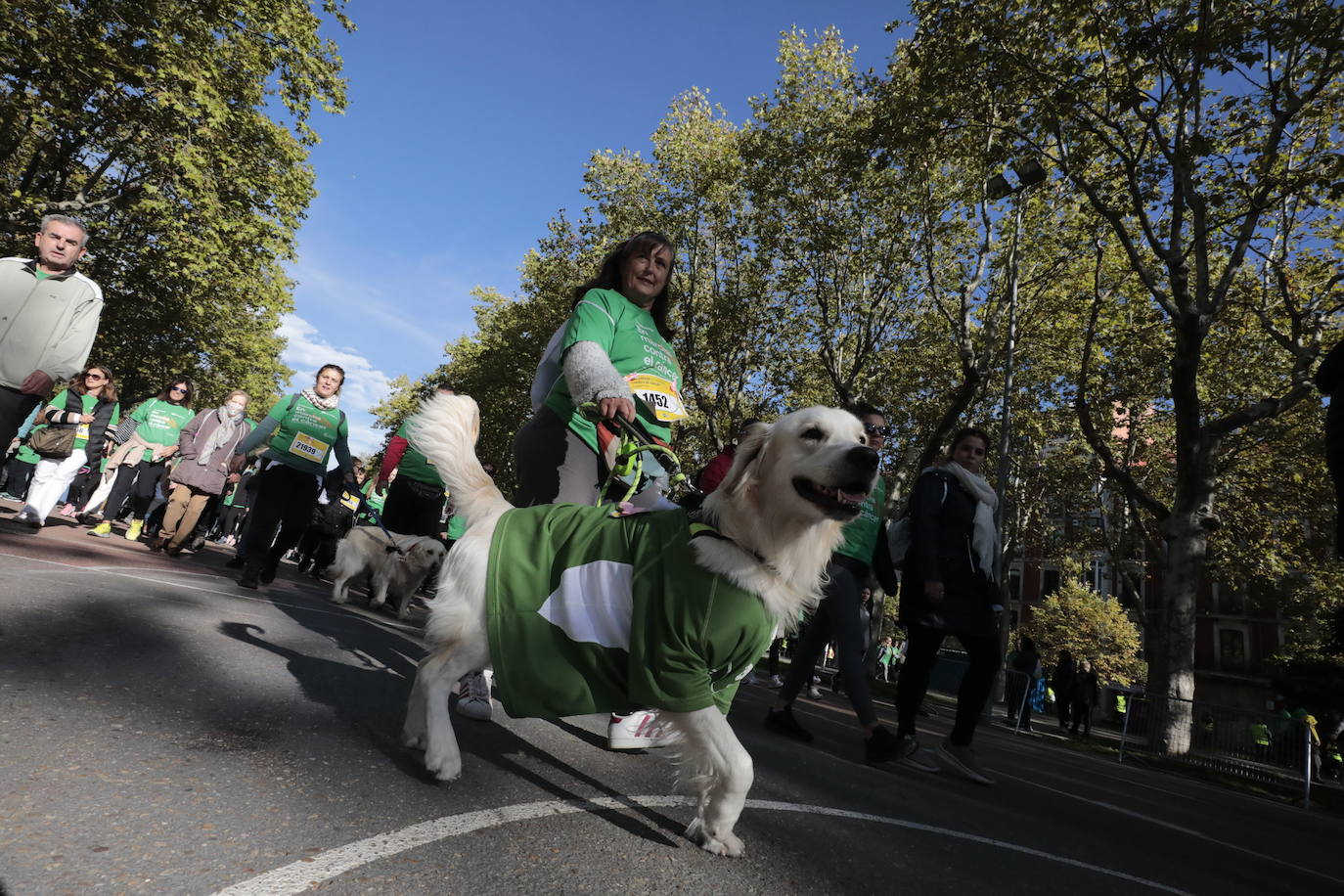 Fotos: La marcha contra el cáncer llena Valladolid de verde