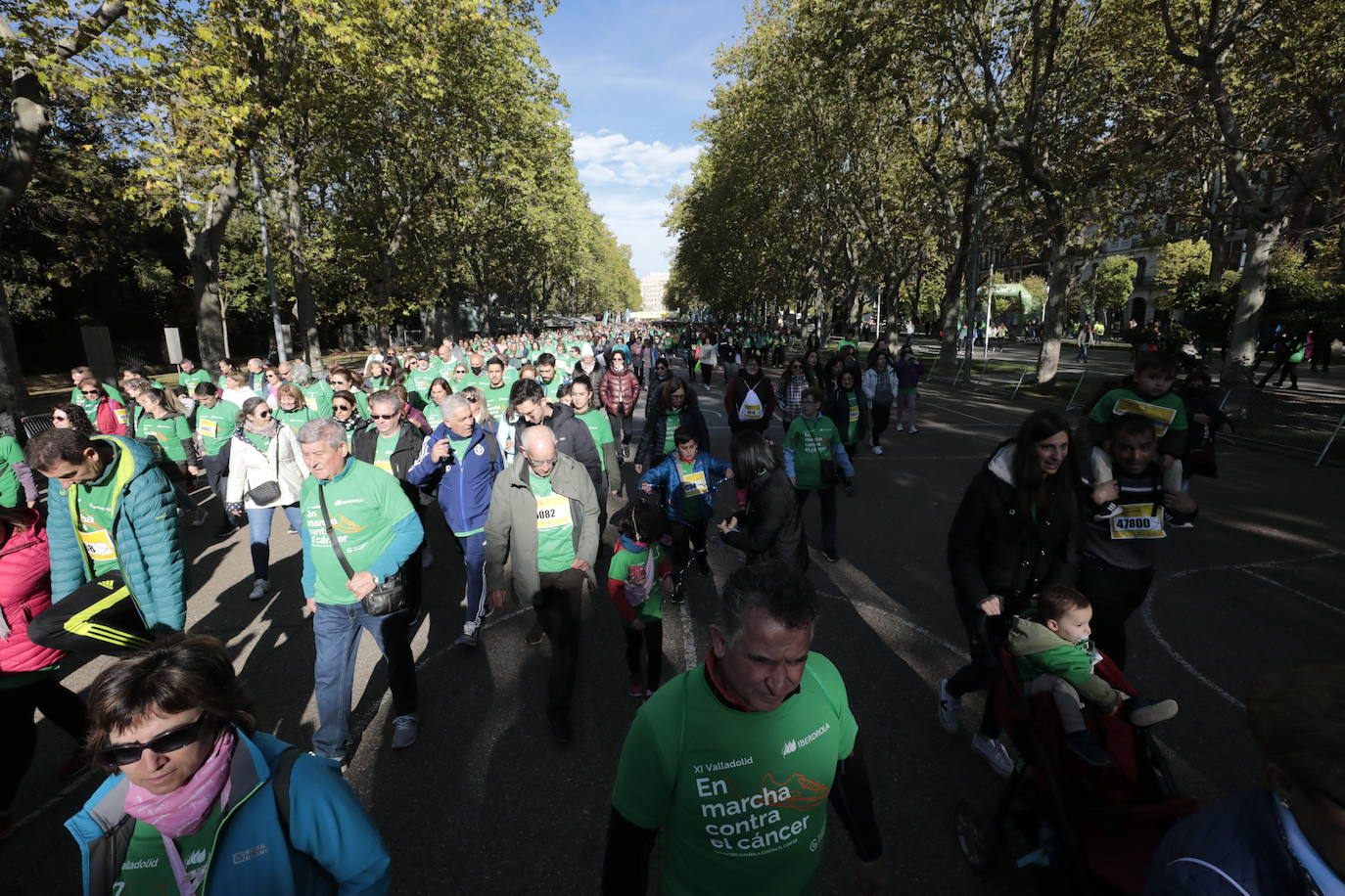 Fotos: La marcha contra el cáncer llena Valladolid de verde