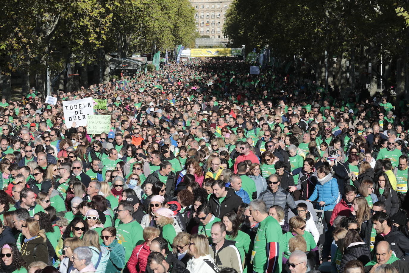 Fotos: La marcha contra el cáncer llena Valladolid de verde