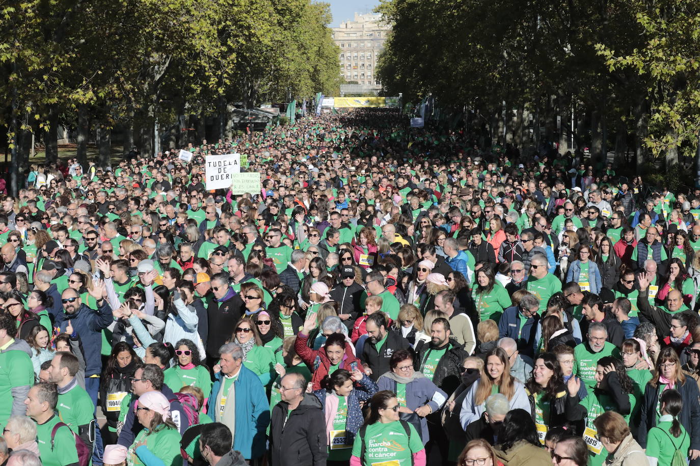 Fotos: La marcha contra el cáncer llena Valladolid de verde