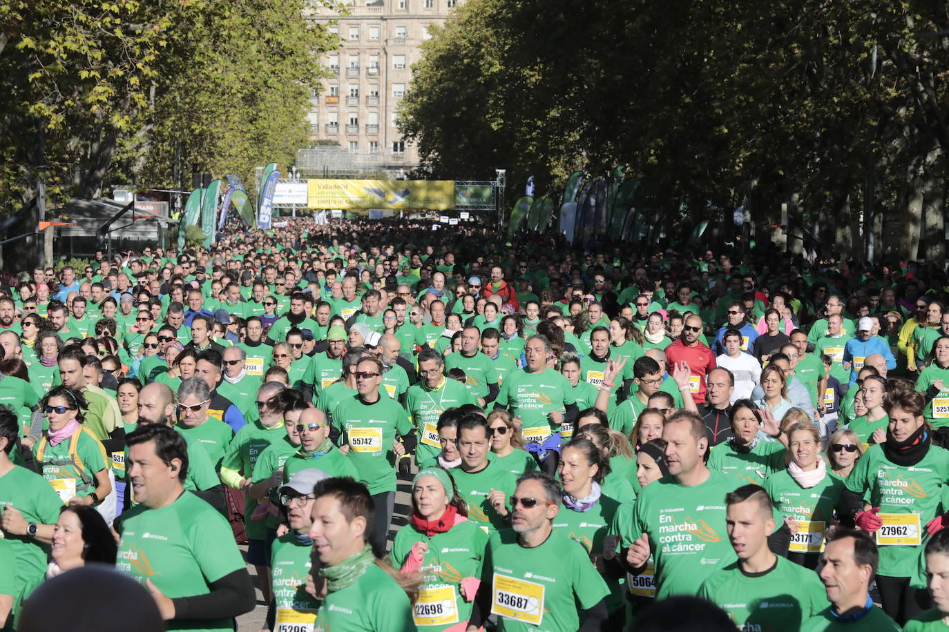 Fotos: La marcha contra el cáncer llena Valladolid de verde