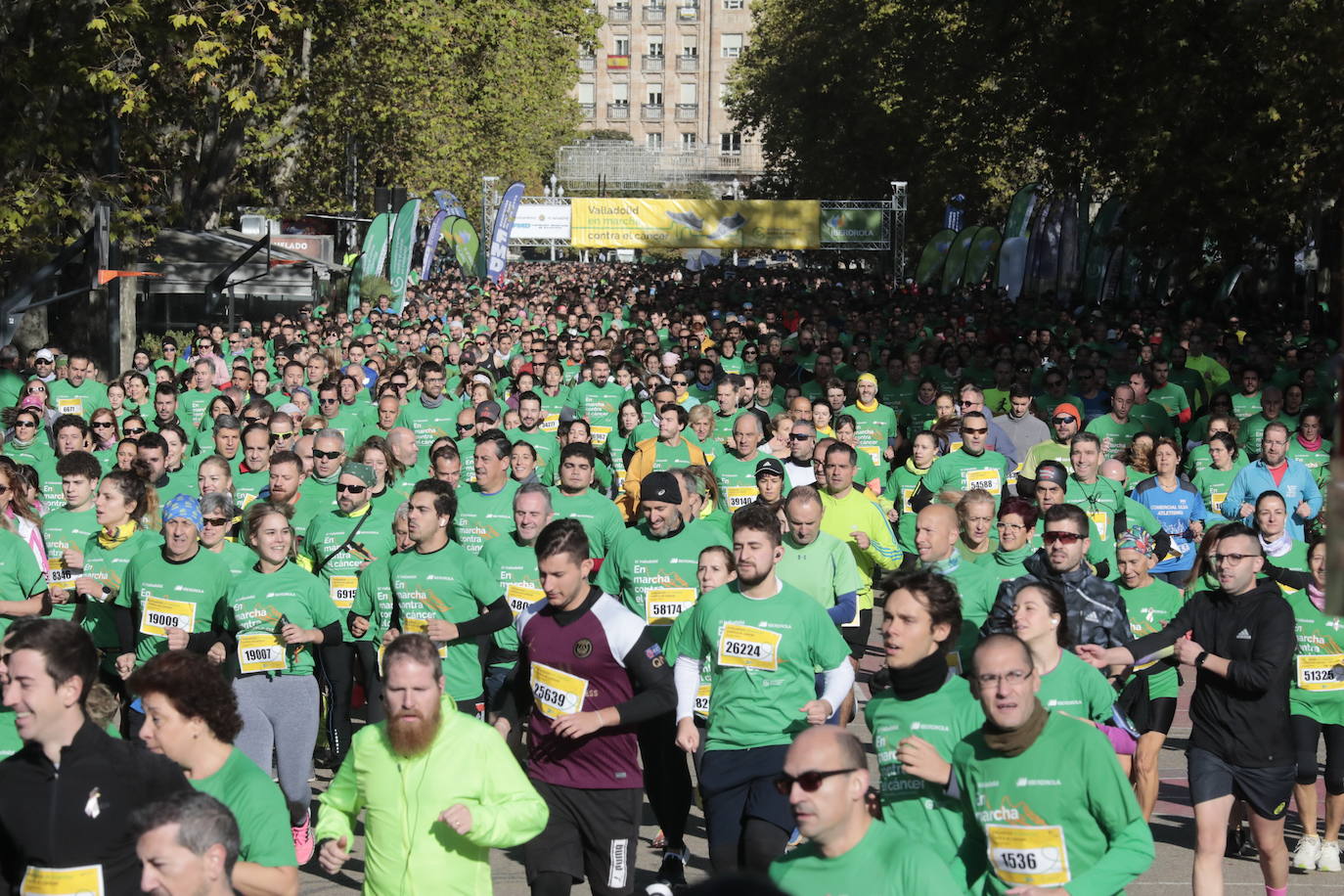 Fotos: La marcha contra el cáncer llena Valladolid de verde