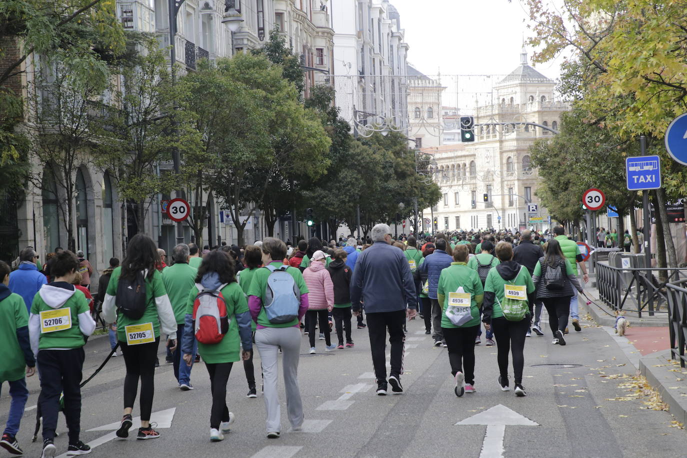 Fotos: La marcha contra el cáncer llena Valladolid de verde