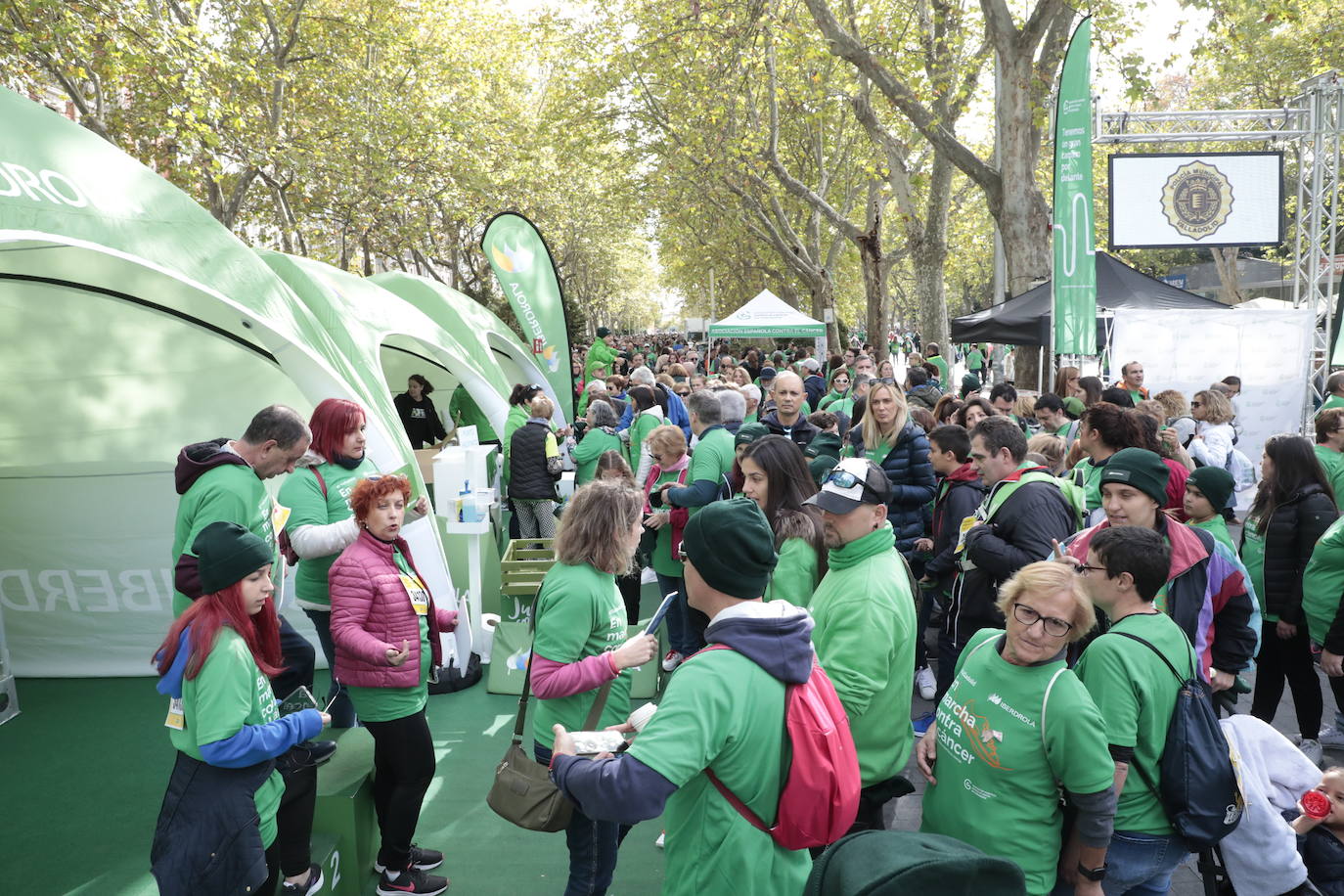 Fotos: La marcha contra el cáncer llena Valladolid de verde