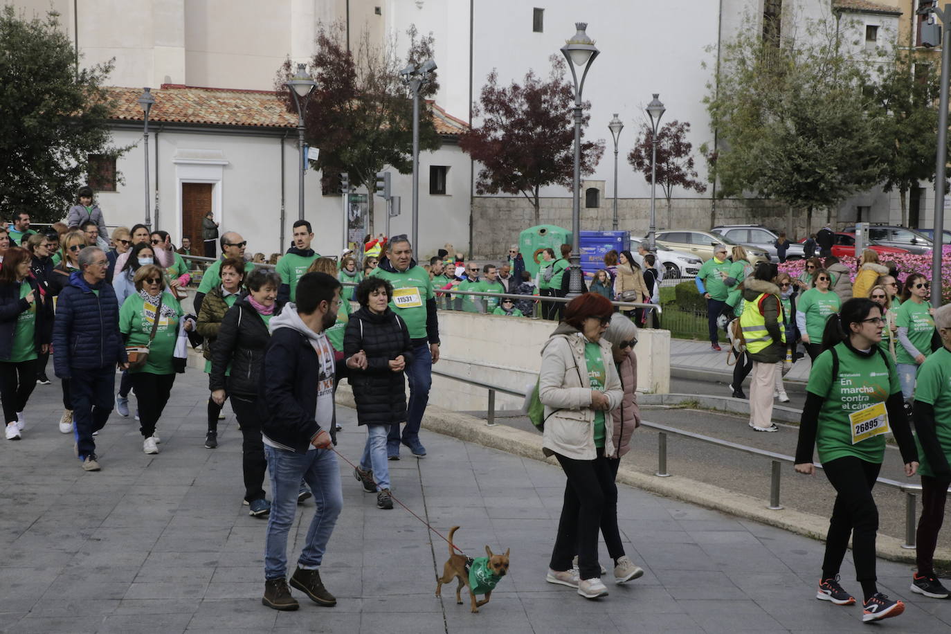 Fotos: La marcha contra el cáncer llena Valladolid de verde