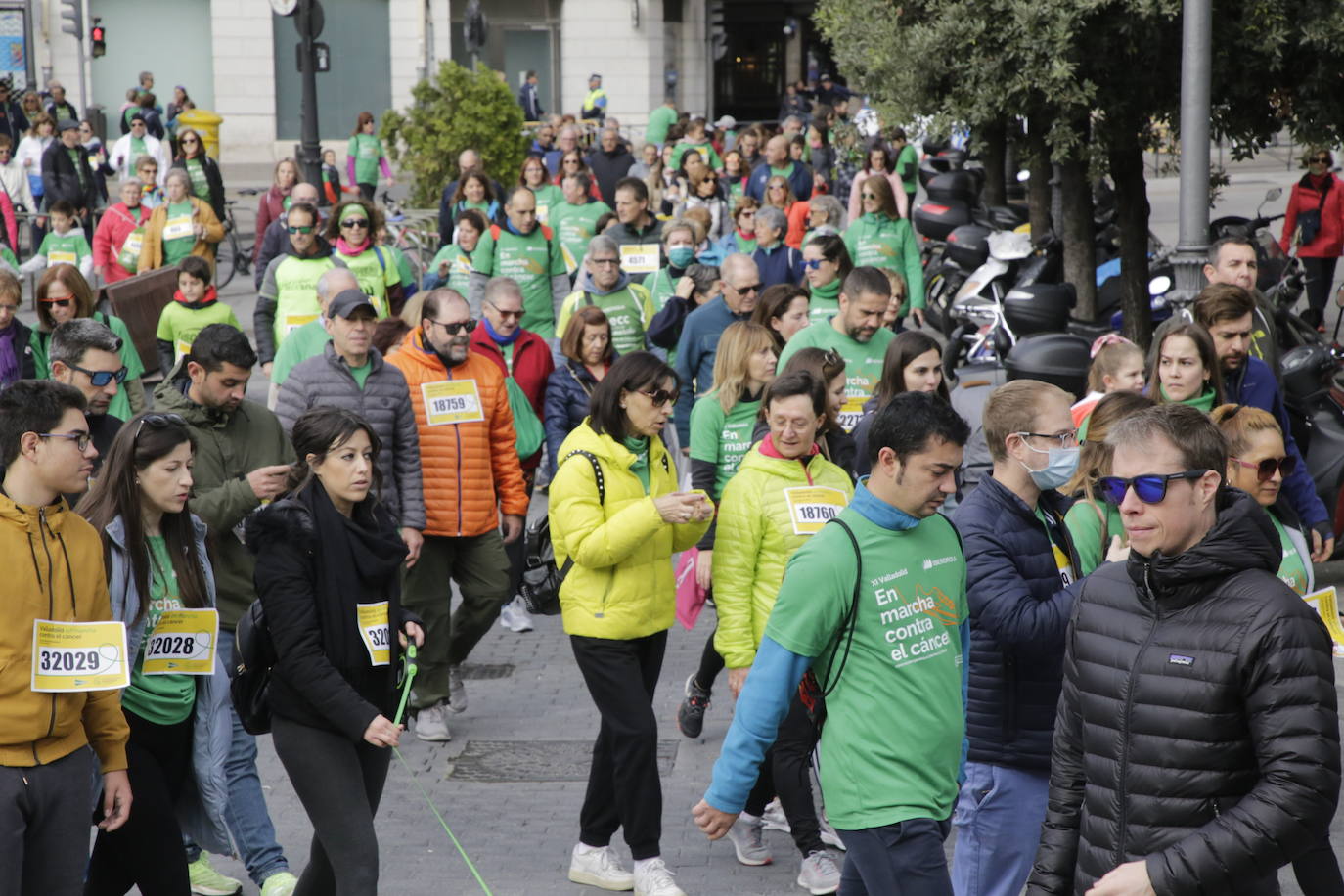 Fotos: La marcha contra el cáncer llena Valladolid de verde