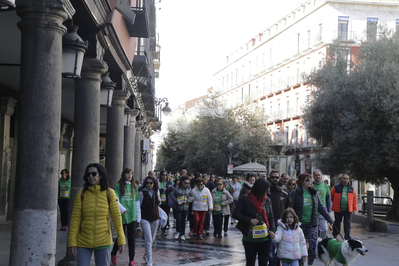 Fotos: La marcha contra el cáncer llena Valladolid de verde