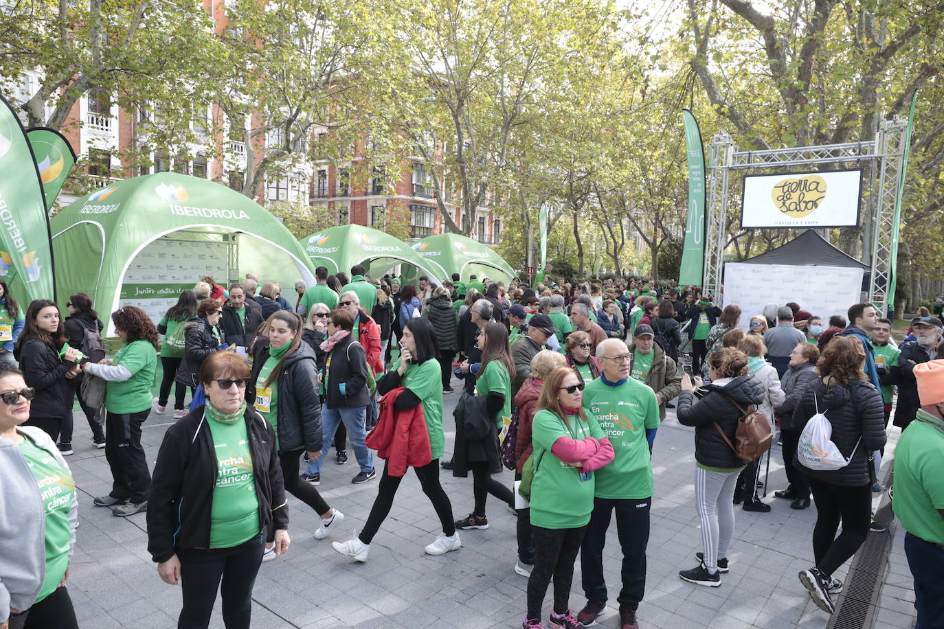 Fotos: La marcha contra el cáncer llena Valladolid de verde