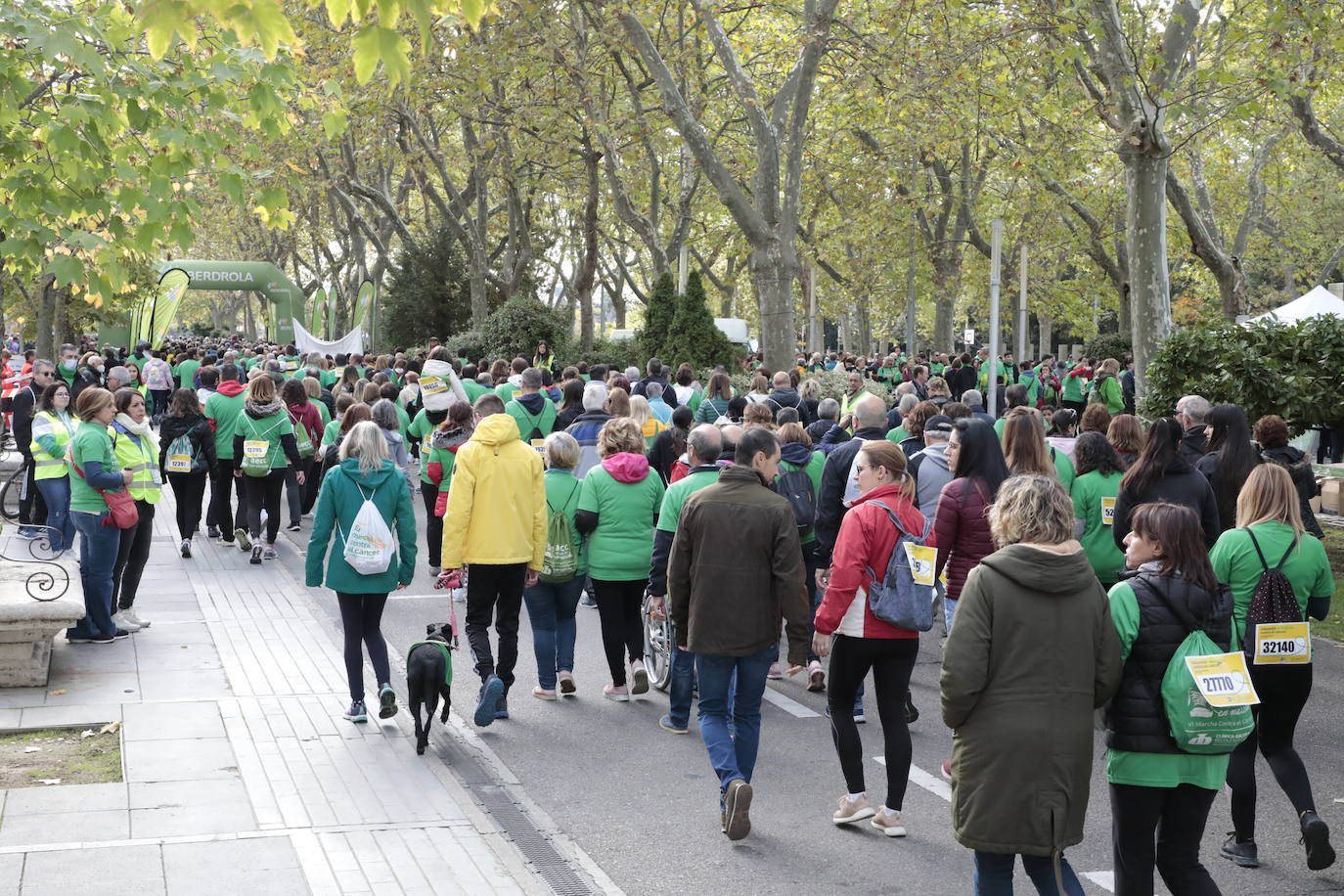 Fotos: La marcha contra el cáncer llena Valladolid de verde