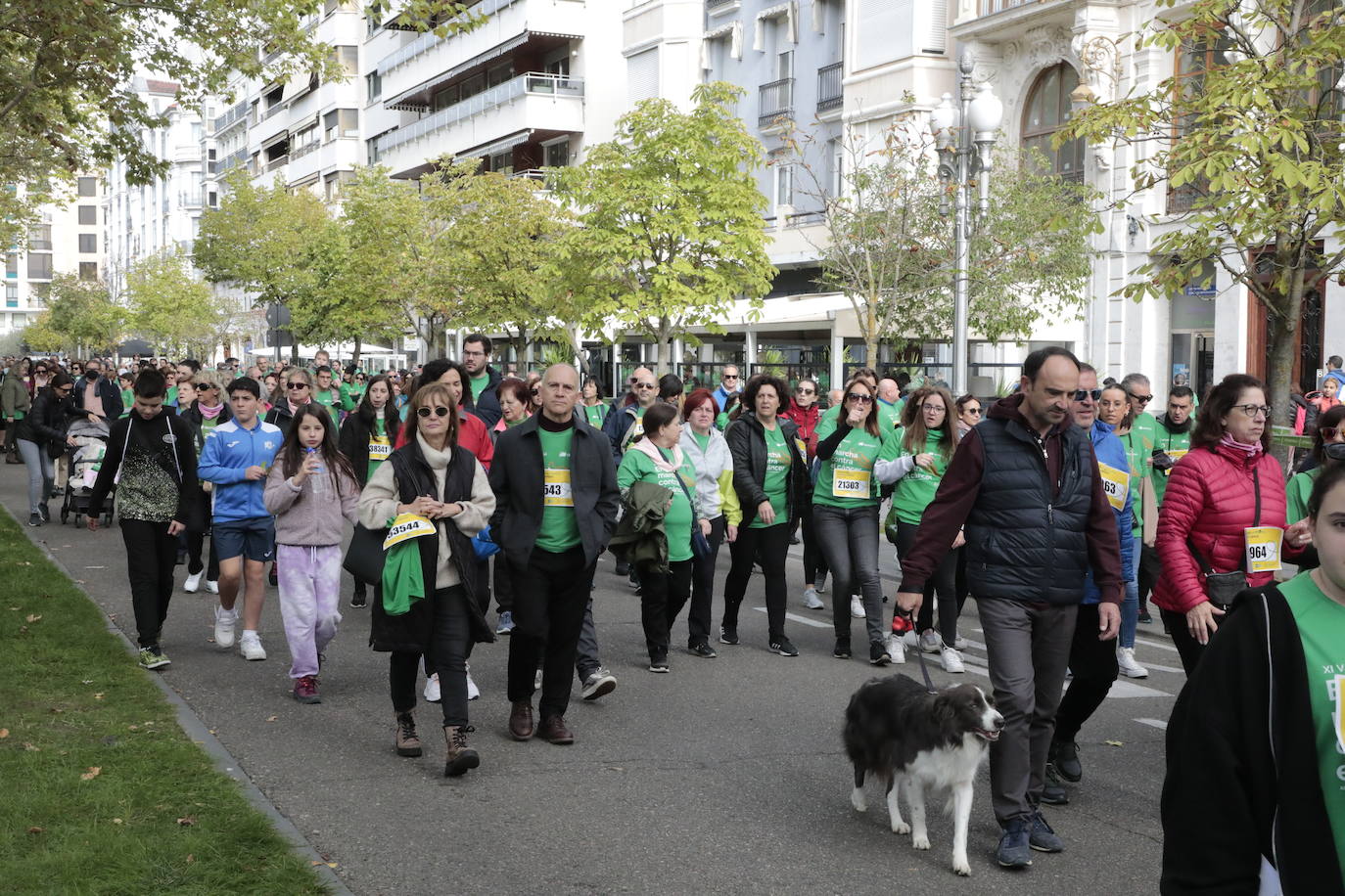 Fotos: La marcha contra el cáncer llena Valladolid de verde