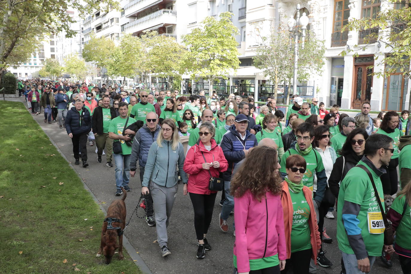 Fotos: La marcha contra el cáncer llena Valladolid de verde