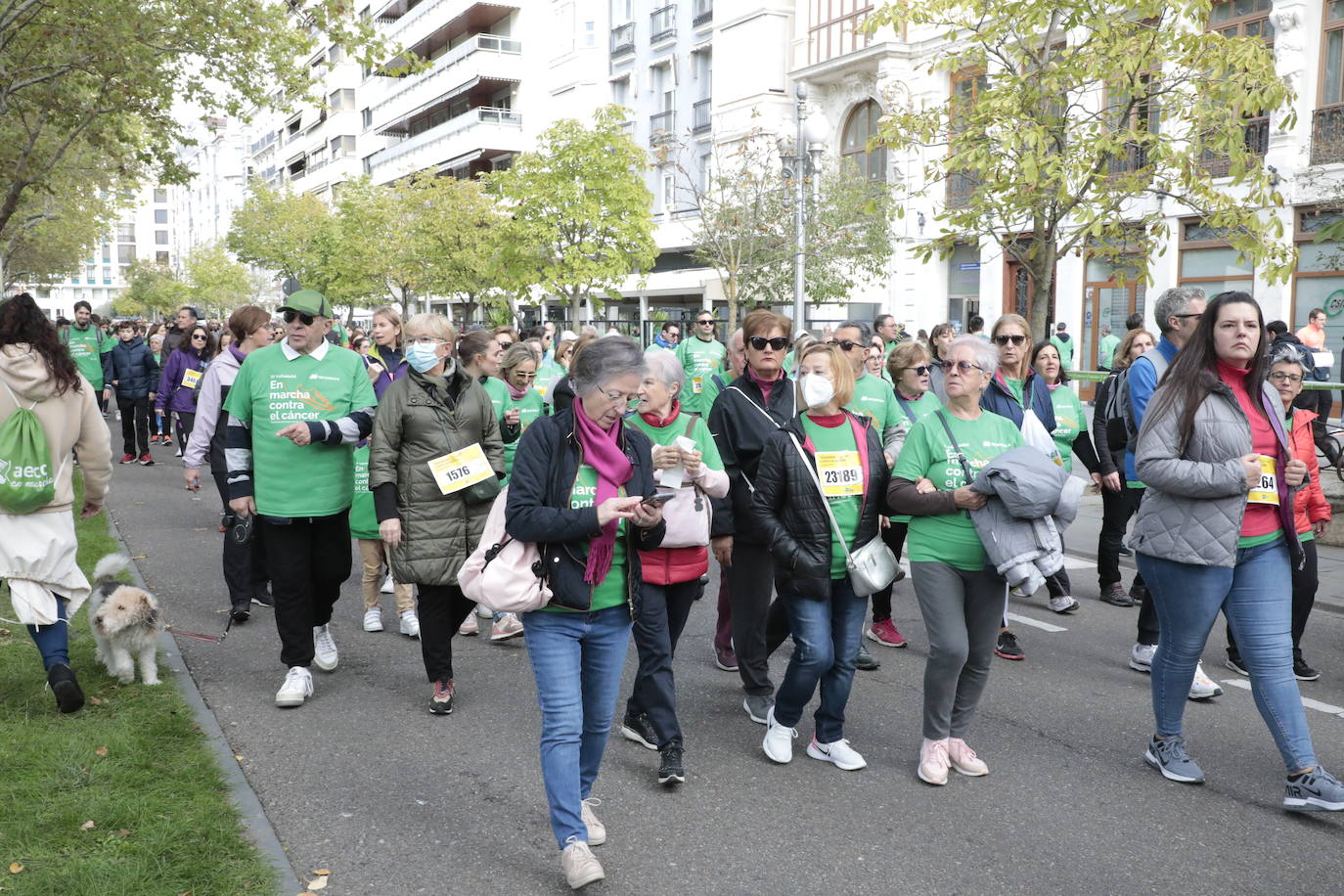 Fotos: La marcha contra el cáncer llena Valladolid de verde