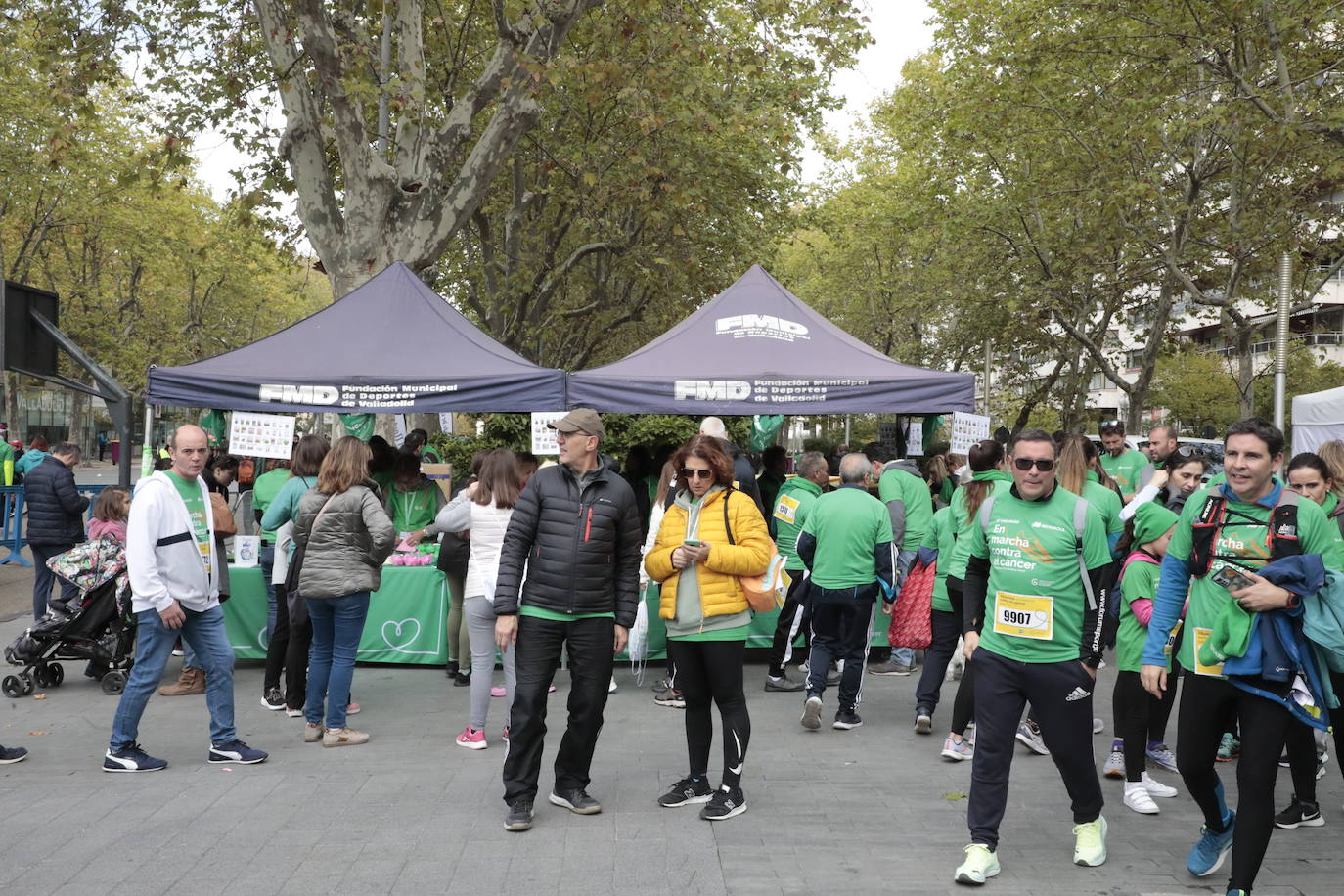 Fotos: La marcha contra el cáncer llena Valladolid de verde