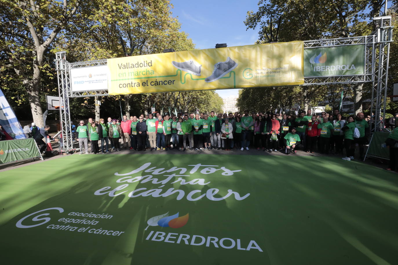 Fotos: La marcha contra el cáncer llena Valladolid de verde