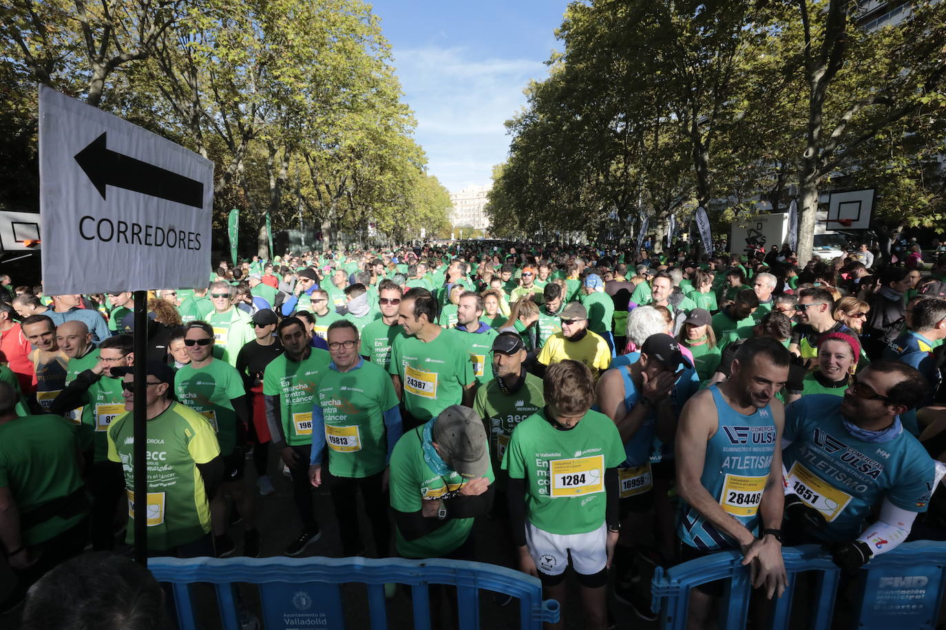 Fotos: La marcha contra el cáncer llena Valladolid de verde