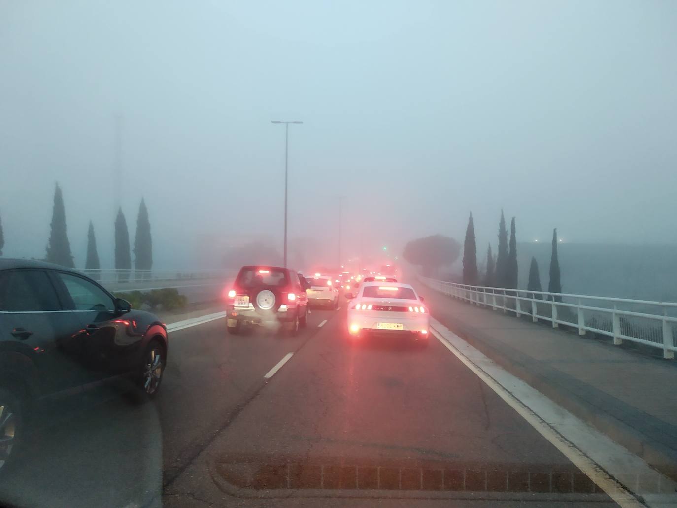 Fotos: Una densa niebla cubre la provincia de Valladolid