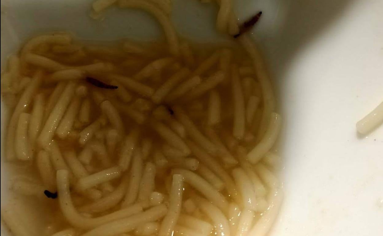 Gusanos en un plato de fideos servido en la cafetería del personal del Hospital de León.