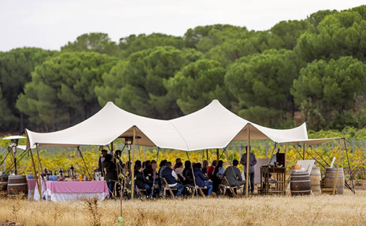 Campamento sobre biodinamismo montado por Bodega Cruz de Alba en el viñedo Finca Los Hoyales. 