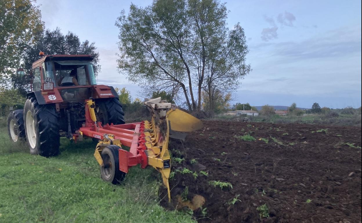 Un agricultor prepara la tierra para la siembra posterior. 