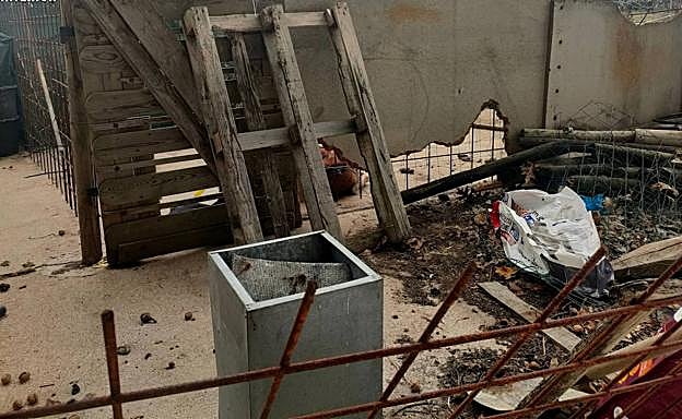 Investigado por tener a tres perros deshidratados y desnutridos en el patio de su casa en Saldaña