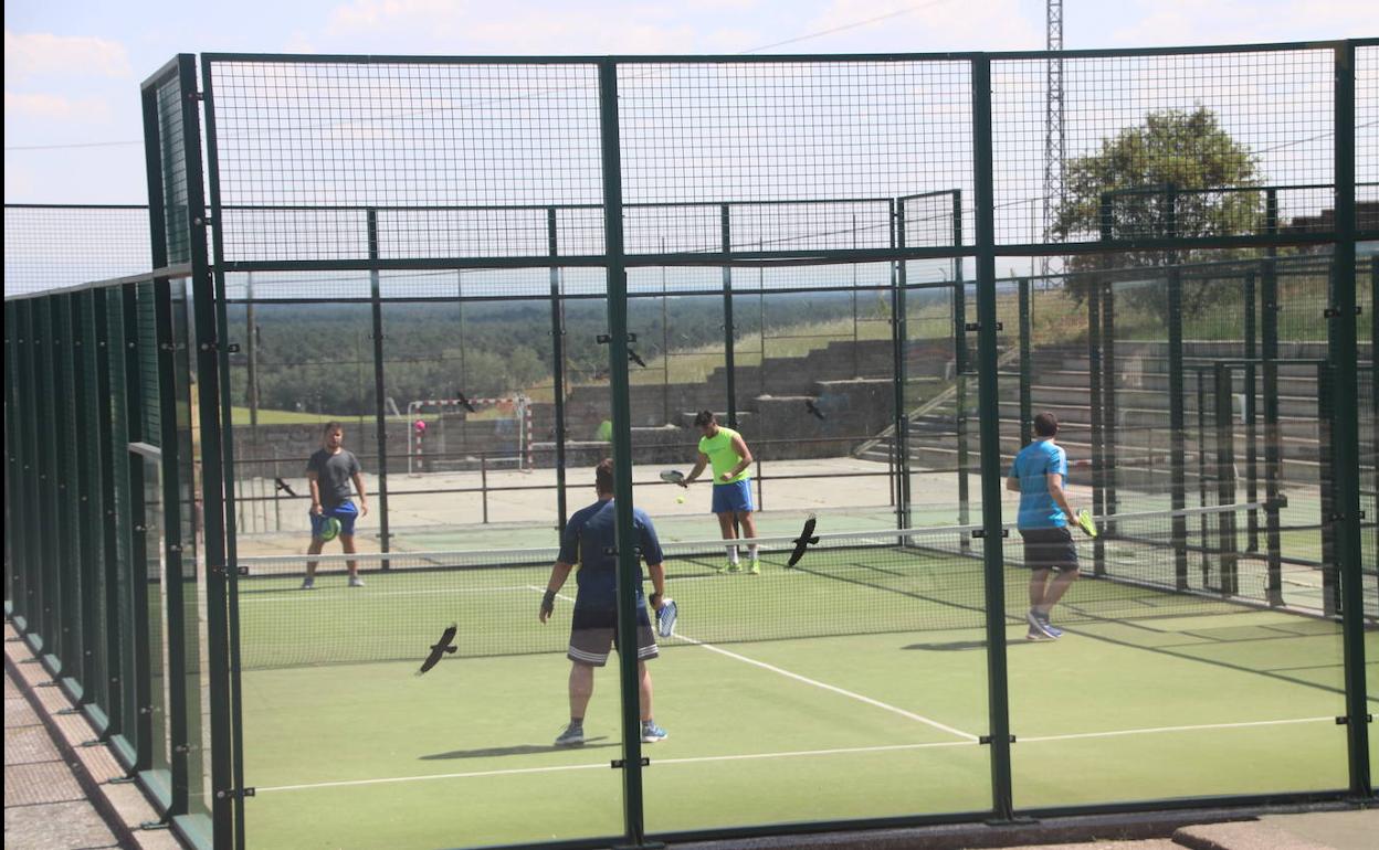 Los socialistas llevan en su borrador una partida para cubrir las pistas de pádel de Cuéllar.