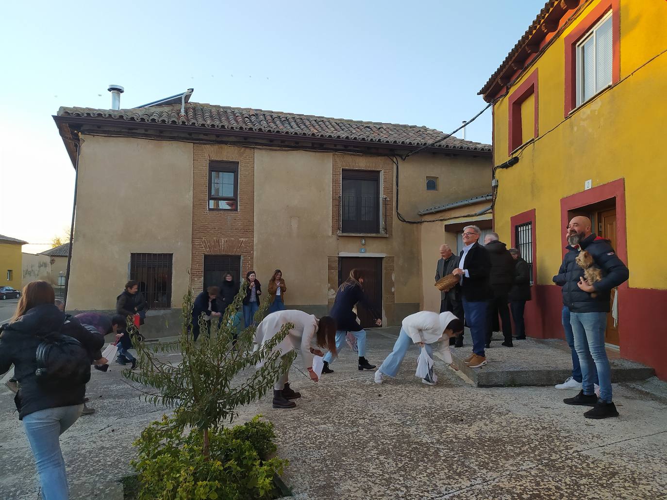 Los vecinos de Villán de Campos recogen las castañas. 