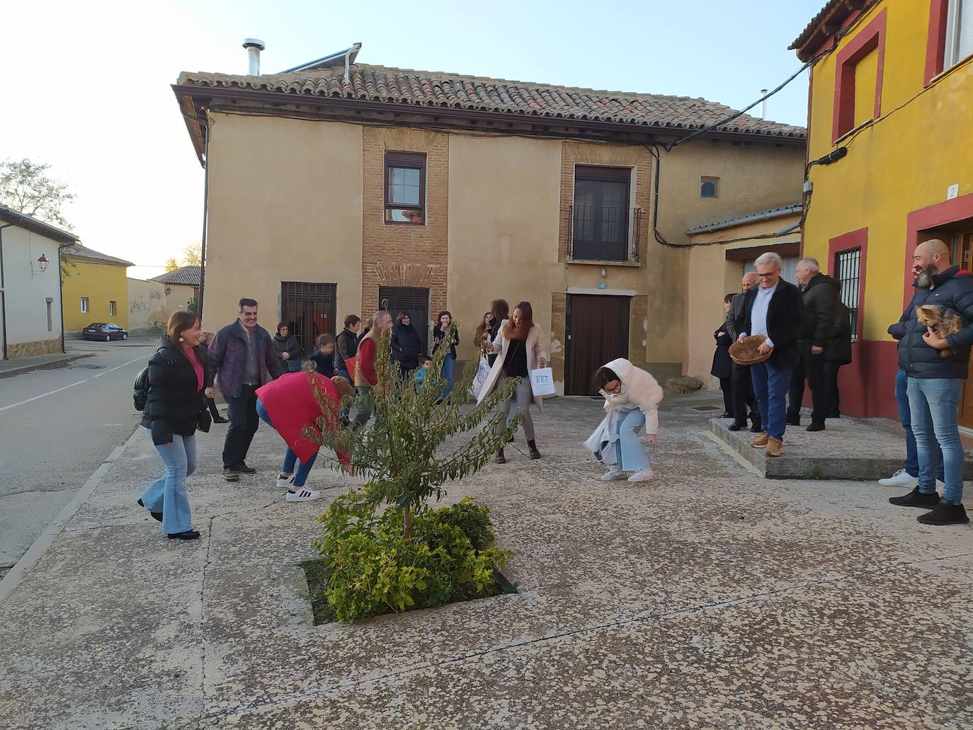 Los vecinos de Villán de Campos recogen las castañas. 