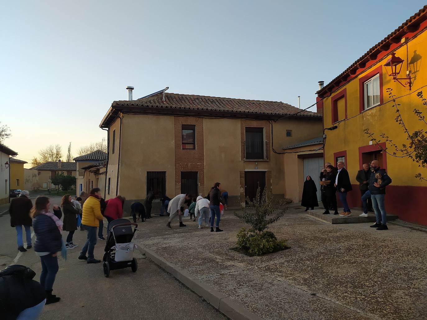 Los vecinos de Villán de Campos recogen las castañas. 