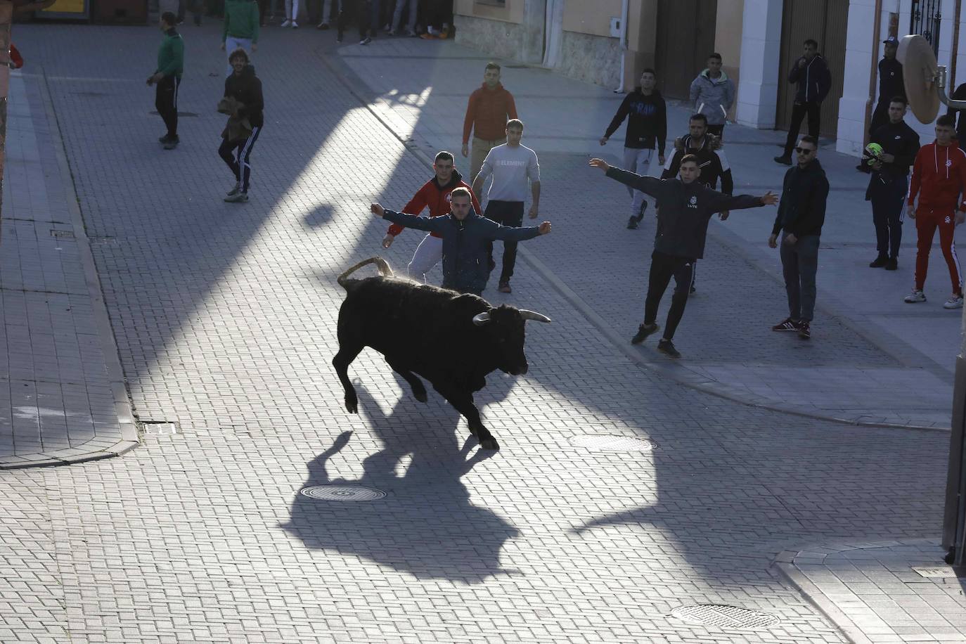 Fotos: Galería de imágenes | Encierro urbano de las fiestas de San Martín de Tours de Traspinedo