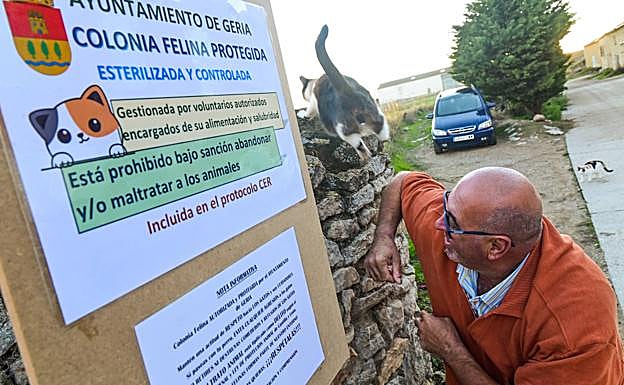 Raúl Peña, vecino de Geria, juega con el gato 'Osito' junto a un cartel que reconoce una de las colonias que cuida como voluntario. 