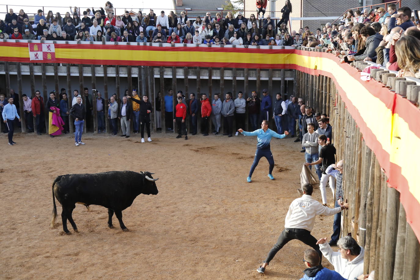 Fotos: El último encierro de Traspinedo en imágenes