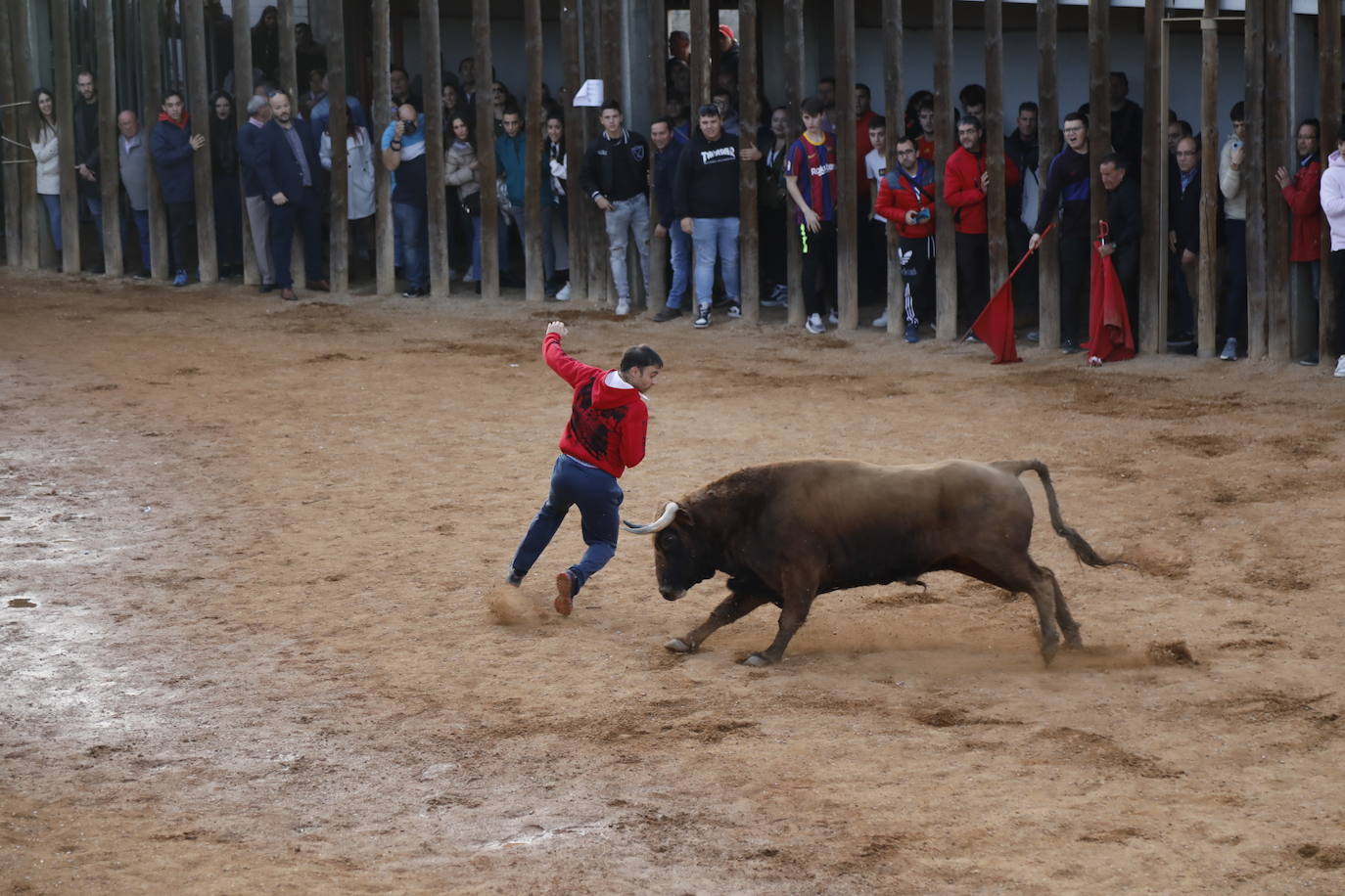 Fotos: El último encierro de Traspinedo en imágenes