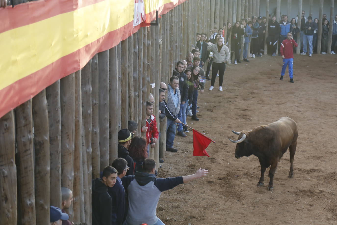 Fotos: El último encierro de Traspinedo en imágenes