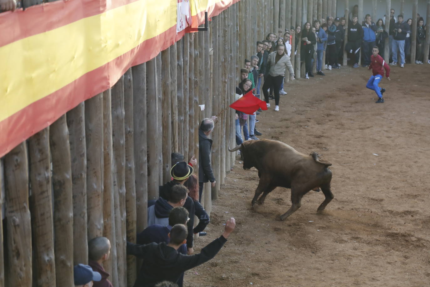 Fotos: El último encierro de Traspinedo en imágenes