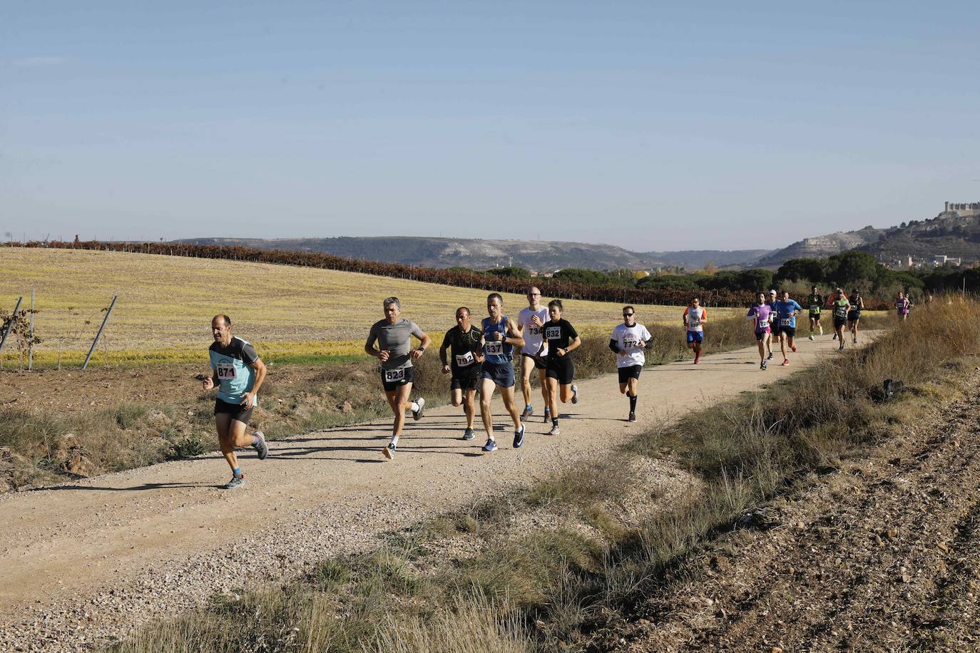 Fotos: Carrera en Peñafiel del del circuito Corriendo entre Viñas