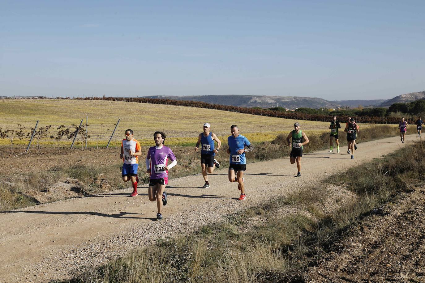 Fotos: Carrera en Peñafiel del del circuito Corriendo entre Viñas