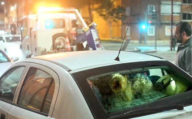 La grúa retira el coche con Wendy dentro para sacarla del habitáculo en el depósito de vehículos.