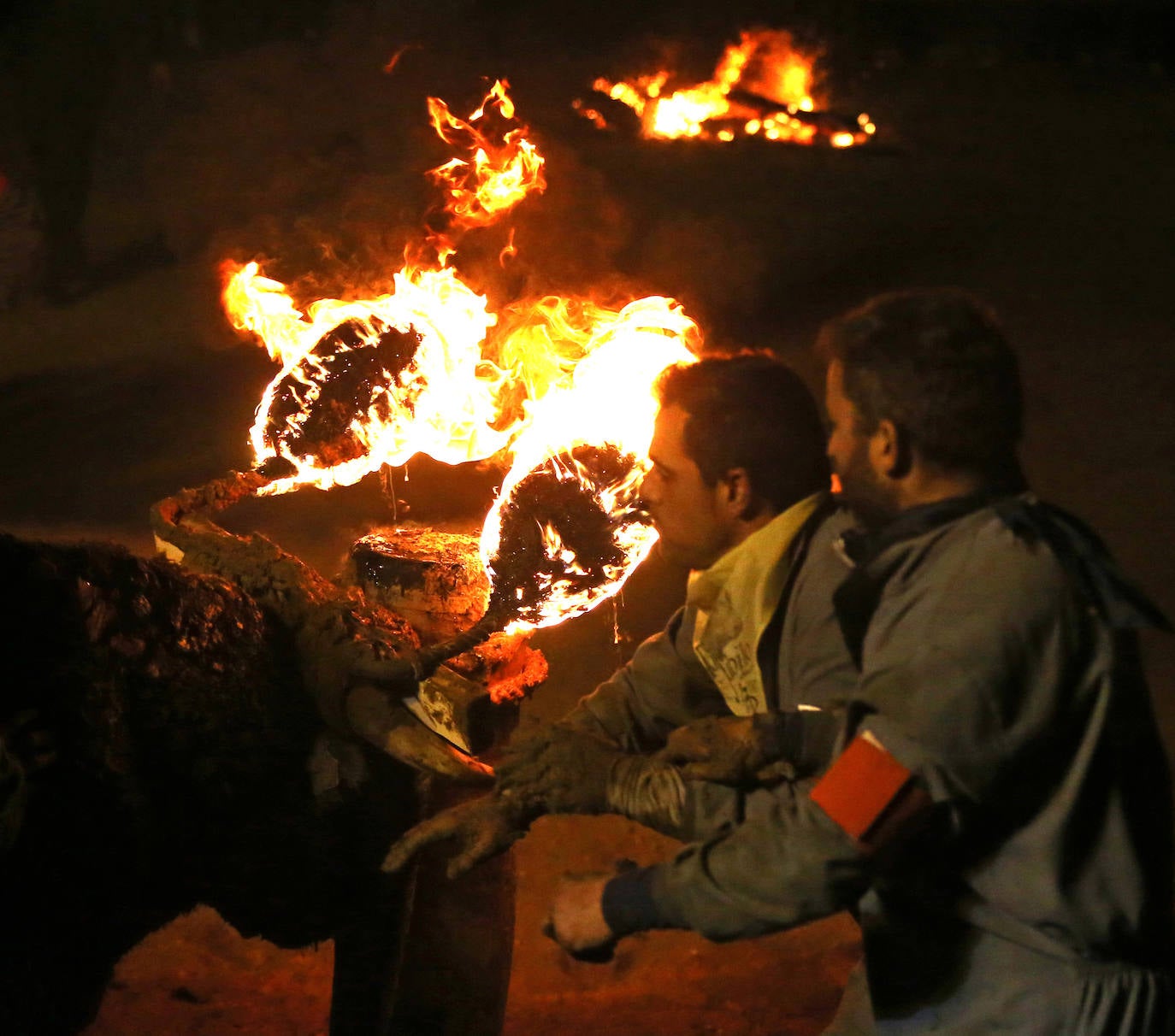 El Toro Jubilo de Medinaceli, Soria, con las bolas de fuego ardiendo en los cuernos.