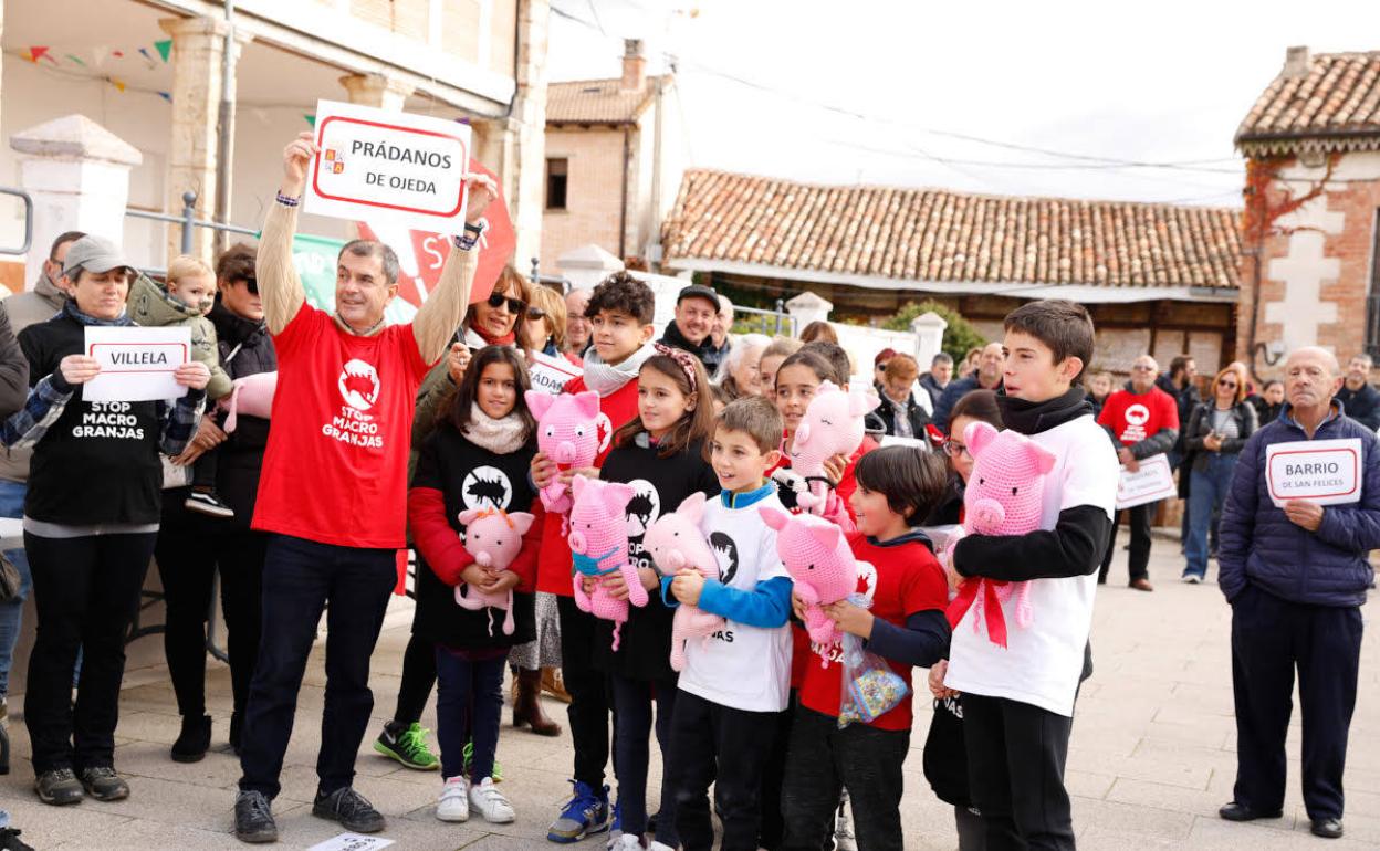 Palencia: La Ojeda se moviliza contra las macrogranjas de cerdos