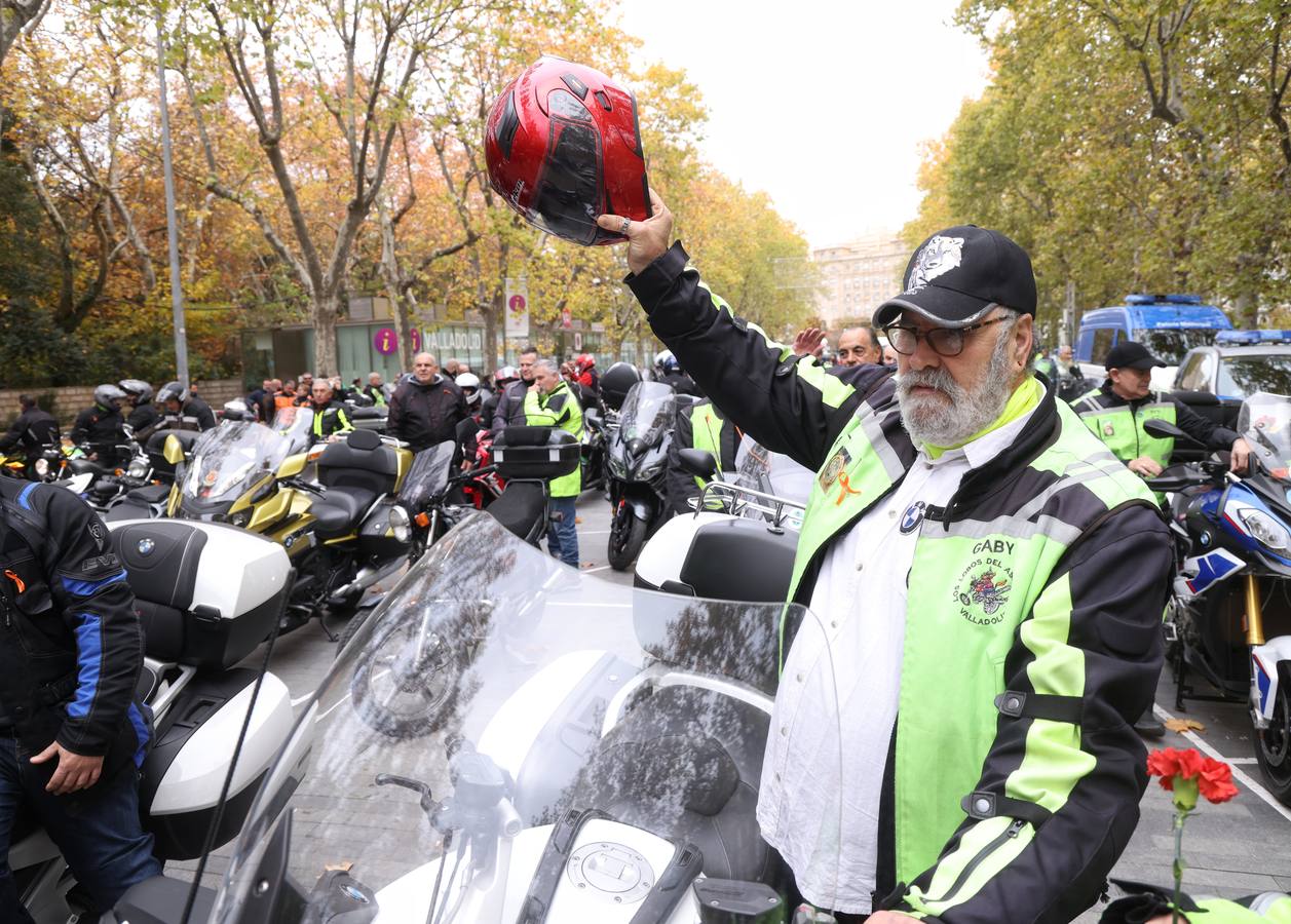 Fotos: Día Mundial de las Víctimas de Accidentes de Tráfico en Valladolid